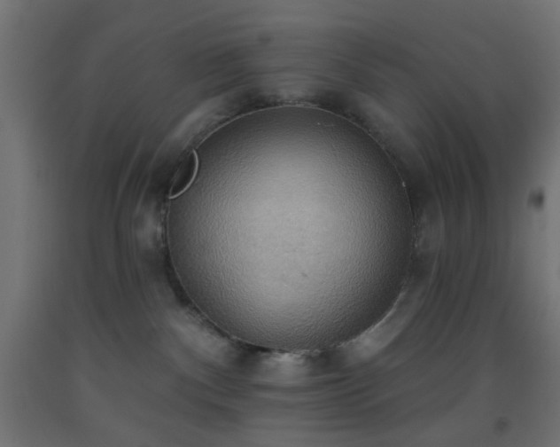 X0000093520140200710121552