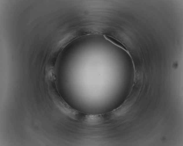X0000093520141200710121552
