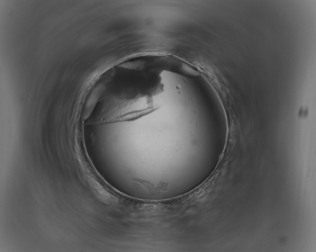 X0000093520145200710121551