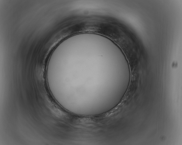X0000093520146200710121551