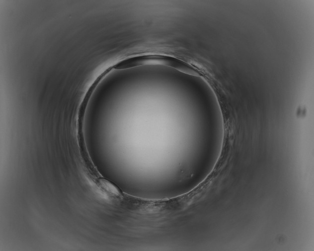 X0000093520148200710121551