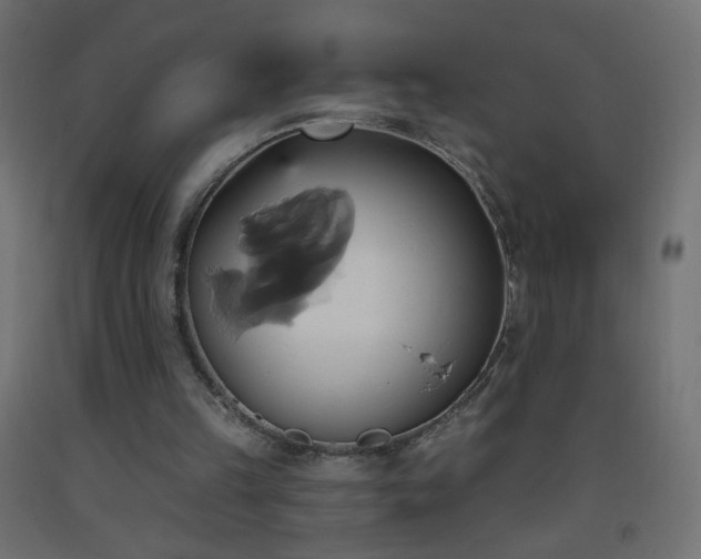X0000093520149200710121551