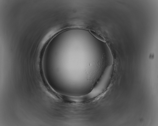 X0000093520150200710121551