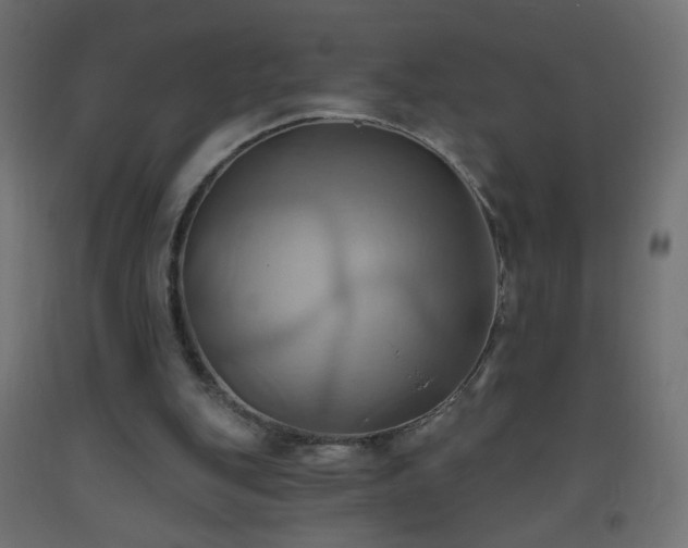 X0000093520151200710121551