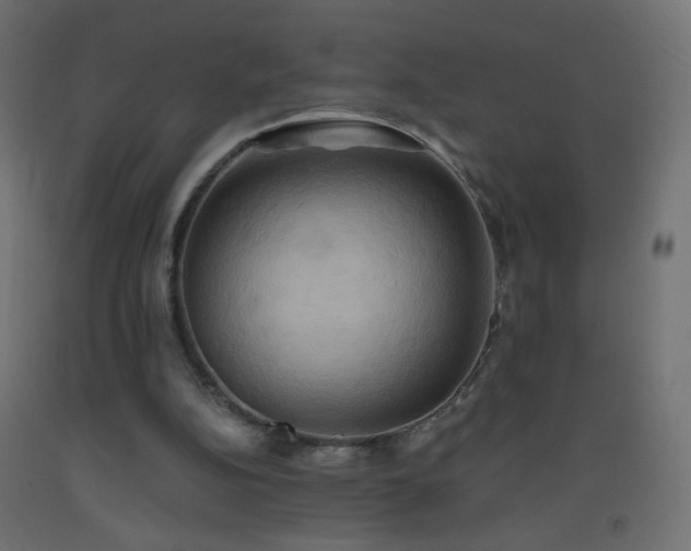 X0000093520152200710121551