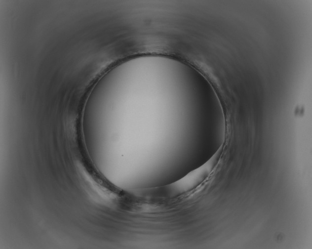 X0000093520154200710121551