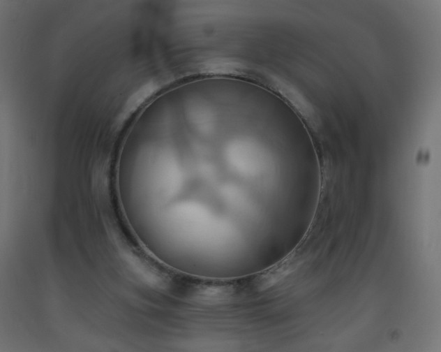 X0000093520155200710121551