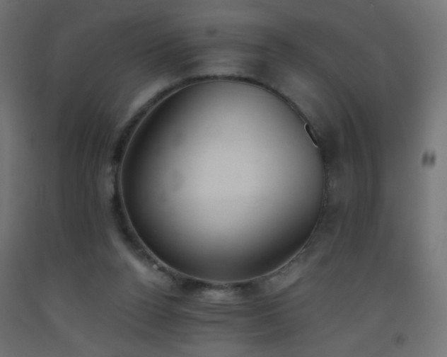 X0000093520160200710121551