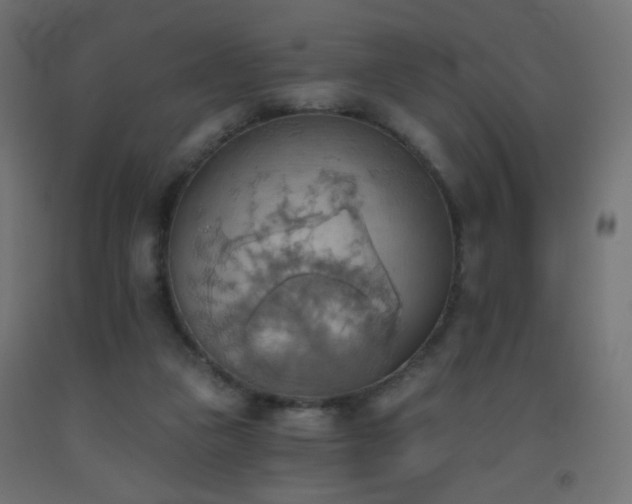X0000093520161200710121551