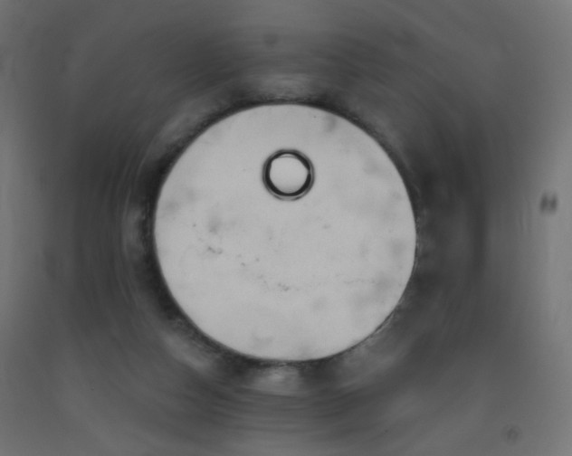 X0000093520162200710121551
