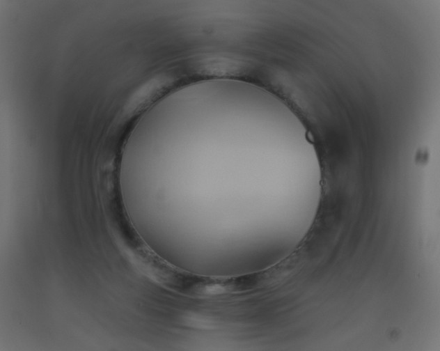X0000093520163200710121551