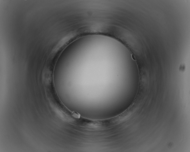 X0000093520164200710121551