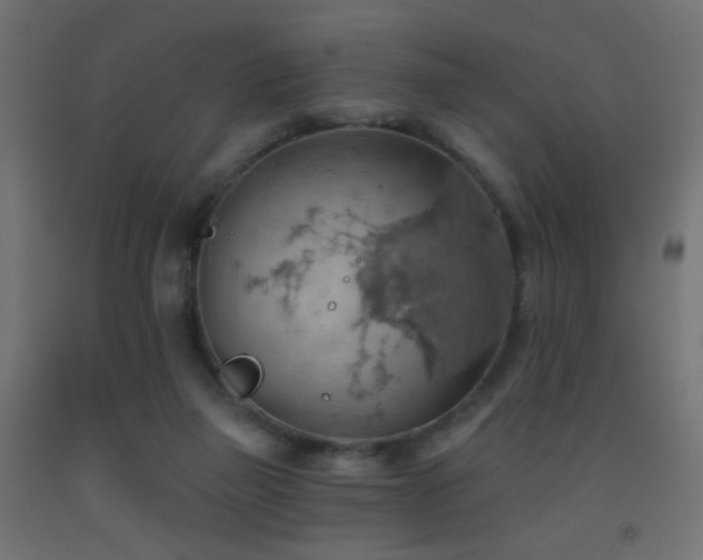 X0000093520165200710121551