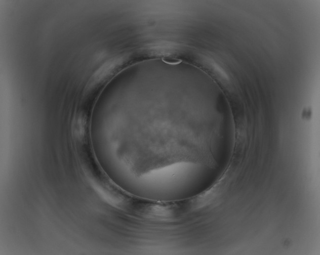 X0000093520166200710121552