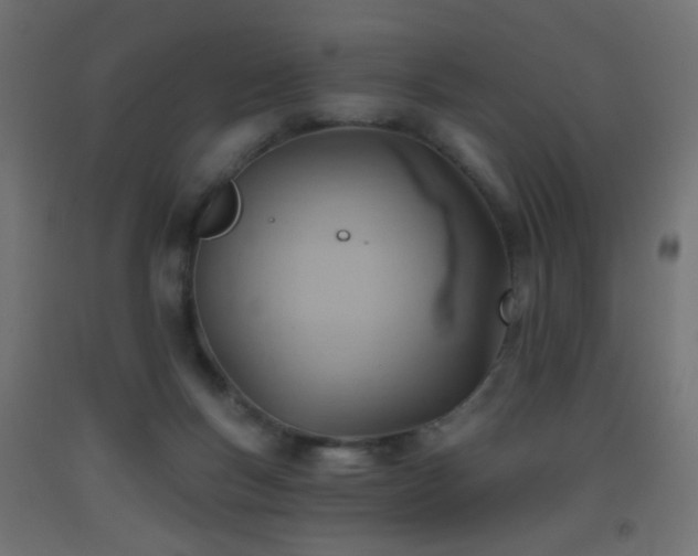 X0000093520167200710121552