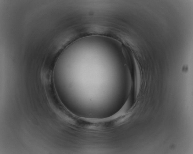 X0000093520168200710121552