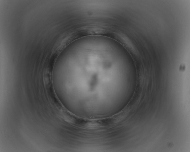 X0000093520169200710121552
