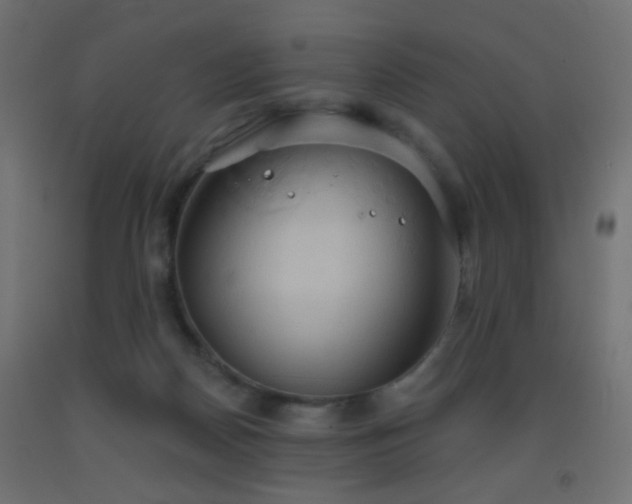 X0000093520170200710121552