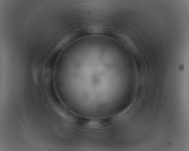 X0000093520171200710121552
