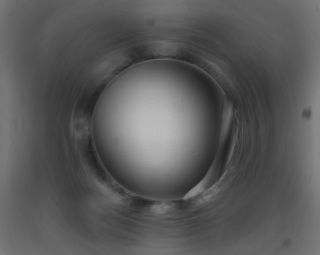 X0000093520172200710121552