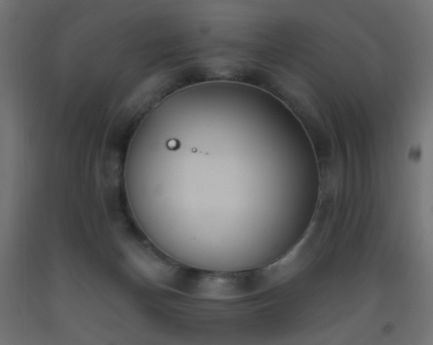 X0000093520174200710121552