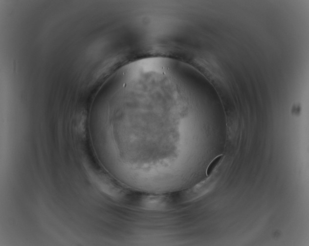 X0000093520175200710121552