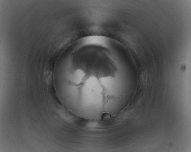 X0000093520177200710121552