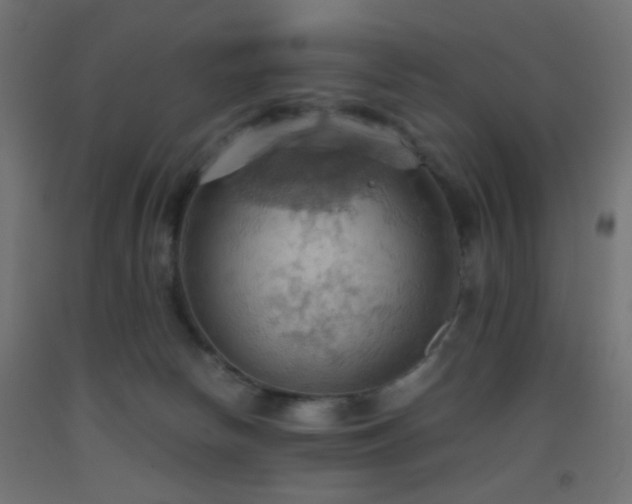 X0000093520178200710121552