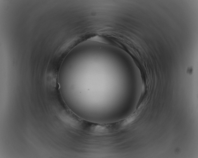 X0000093520180200710121552