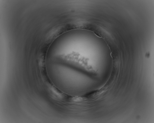 X0000093520181200710121552