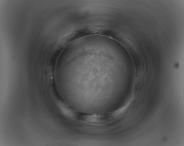 X0000093520182200710121552