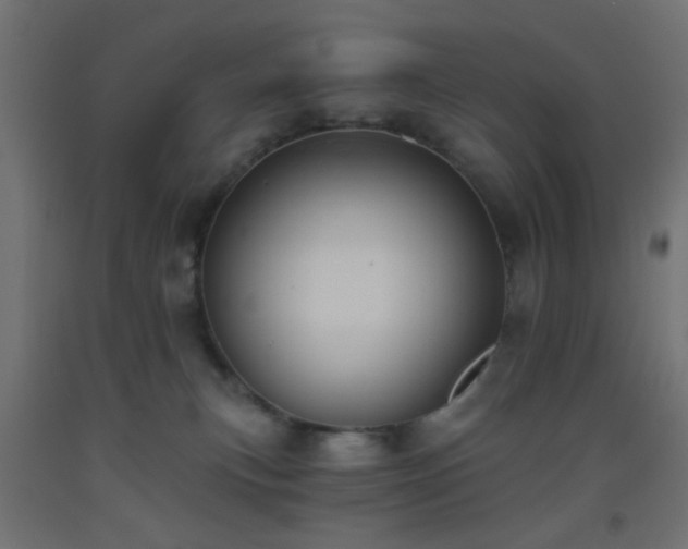 X0000093520183200710121552