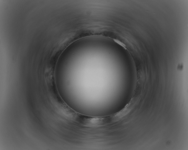 X0000093520184200710121552