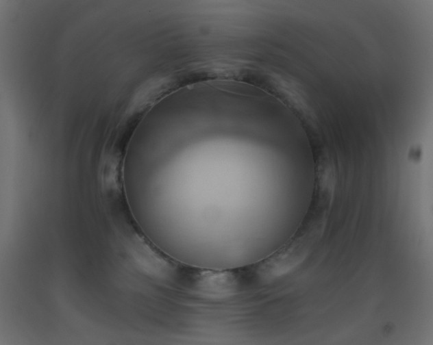 X0000093520185200710121552