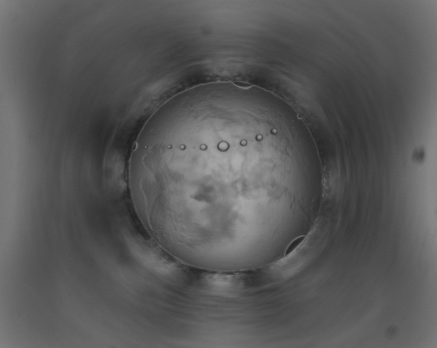 X0000093520187200710121552