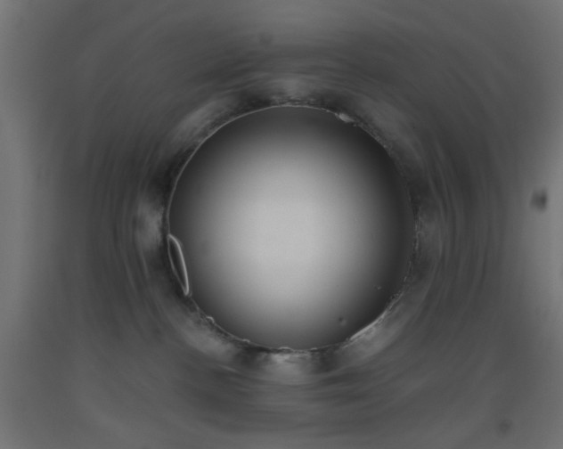 X0000093520188200710121552