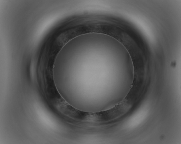 X0000093520189200710121552