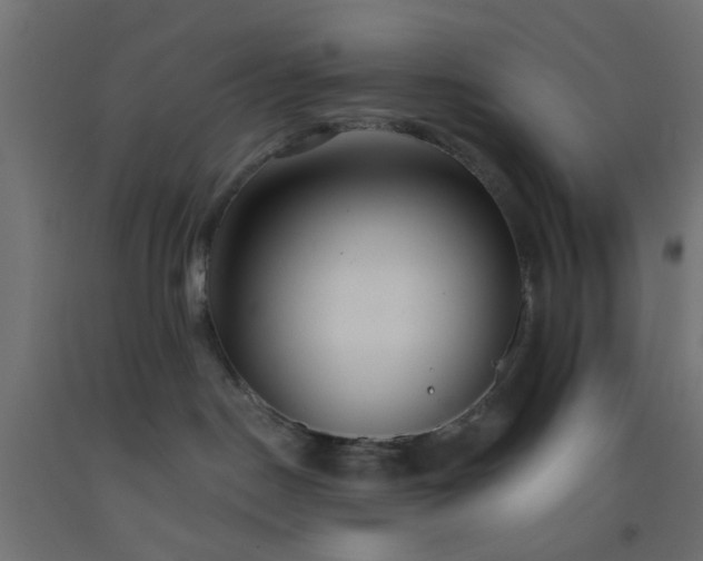 X0000093520190200710121552