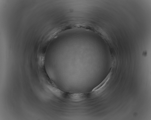 X0000093520191200710121552