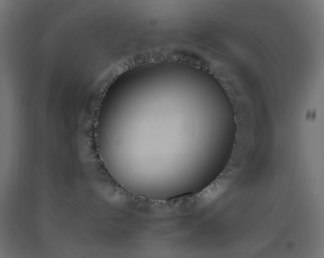 X0000093520192200710121552