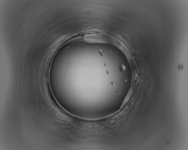 X0000093520193200710121551