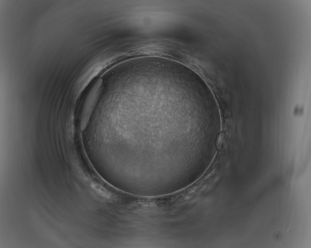 X0000093520194200710121551