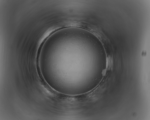 X0000093520195200710121551