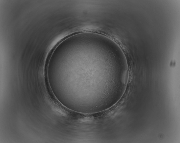X0000093520196200710121551