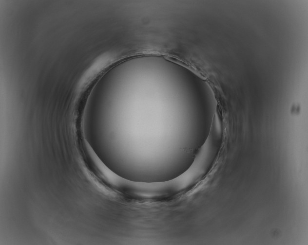 X0000093520197200710121551