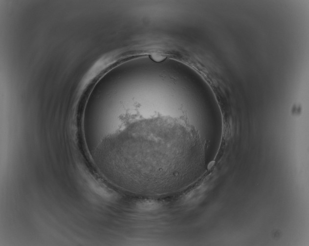 X0000093520198200710121551