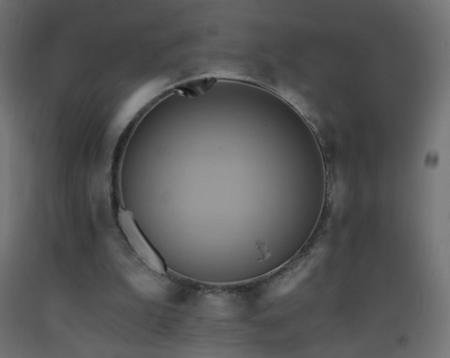 X0000093520199200710121551