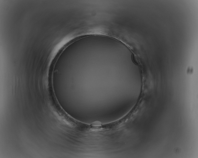 X0000093520200200710121551