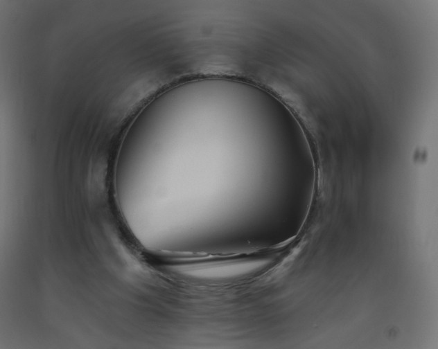 X0000093520201200710121551