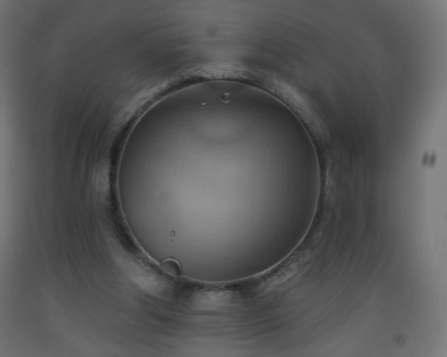 X0000093520202200710121551